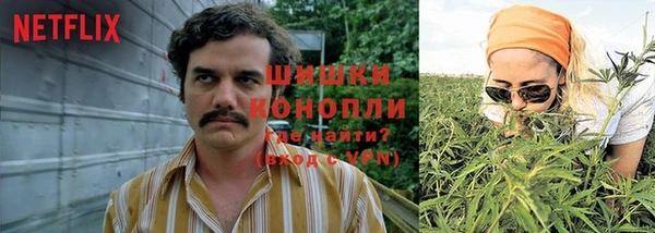 apvp Абаза