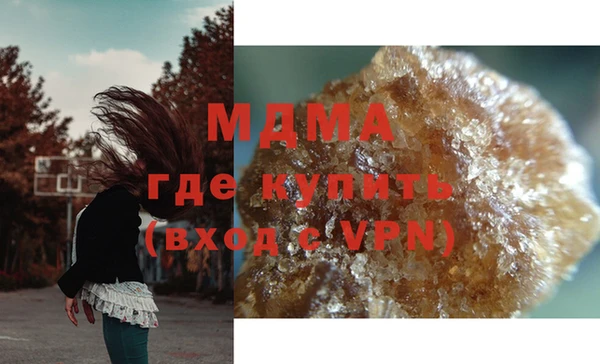 сатива Ельня